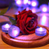 HL Submersible LED Light, Purple Small Battery Powered Light for Wedding Home Vase Festival Decoration (12pcs)