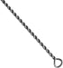 (Pack 12) 12.25" 1.2" 1.4" EISCO of Nylon Cleaning Brushes with Fan-Shaped Ends, - Twisted Stainless Steel Wire Handles