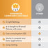 Bulb E12 B11 Bulbs 12mm 110MM 4.25" 120V 3 Pack Flame Effect Chandelier LED Fire Candle Light Flaming Flicker