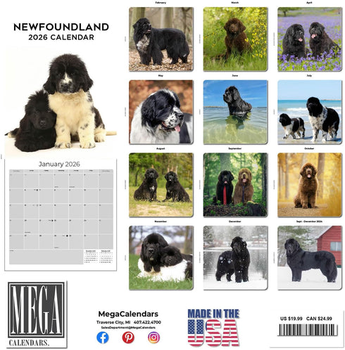 Newfoundland Calendar 2025 2026 - Dog Breed Monthly Wall Calendar, 12 x 24 Open, Thick No-Bleed Paper