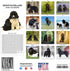 Newfoundland Calendar 2025 2026 - Dog Breed Monthly Wall Calendar, 12 x 24 Open, Thick No-Bleed Paper