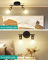 2-Light E26 Bulbs HiBay Track Lighting, Rotatable Ceiling or Wall Light Fixture, Modern Black Gold LED Spotlight Indoor