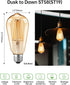 Dusk to Dawn Edison Light Bulbs 2-Pack, ST58(ST19), Vintage Amber Glass, 60W Equivalent, Automatic On/Off
