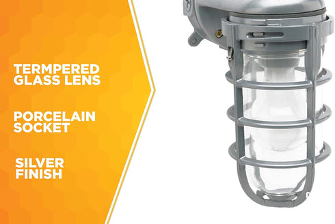 L1707SV 150W Woods Traditional Incandescent Weather Industrial Light, Wall Mount, Silver,Large
