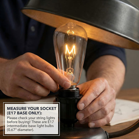 10 Pack ST40 Bulbs 7W E17 Bulbs Replacement for Outdoor String Lights, Intermediate Base Clear Incandescent Edison