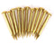 HEEPDD 100Pcs Brass Escutcheon Tacks - Round Head Hardware Nail Assortment Kit for Furniture