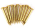 HEEPDD 100Pcs Brass Escutcheon Tacks - Round Head Hardware Nail Assortment Kit for Furniture