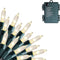 Dazzle Bright 50 LED Batter Operated Christmas Lights, 16 FT Waterproof Mini