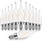 Genixgreen 12 Pack Frosted LED Candelabra Bulbs, Night Light Bulb 15 Watt Equivalent 1.5W E12 Mini Candle Bulb, 2700K