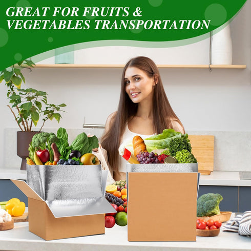 Honoson 2 Frozen Pack Pack Frozen (12'' 10'' 7'') Pcs Thermal Insulated Shipping Boxes for Food with Ice and Aluminum