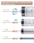100 Pack 26Ga 1 Inch Disposable Syringes with Cap for Lab Supplies, Pet, Poultry, Industrial Dispensing