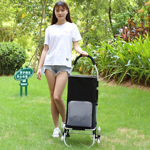 SH-gwtc 43L (Size:12.2 9.8 x21.7 Shopping Cart Replacement Bag, Trolley Waterproof Spare Bag, with Side Pockets