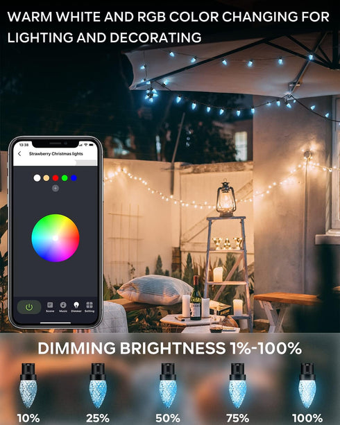 C9 33Ft 50 Dynamic Christmas Lights Outdoor, LED Smart RGB, APP Remote Controlled, Connectable Waterproof Music Xmas