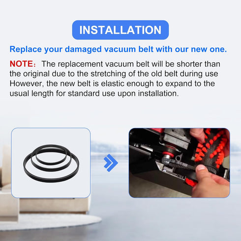 Vacuum Belt Set for Bissell ProHeat 2X Revolution Pet Pro Carpet Cleaner, Fits Models 1986, 1964, 2007