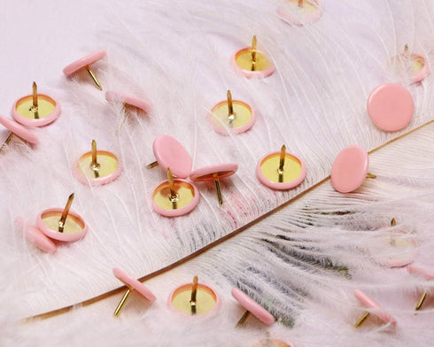 Tupalizy 120PCS Flat Plastic Round Head Map Thumb Tacks, Push Pins with Steel for Hanging Art, DIY Craft (Light Pink)