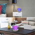 8 LKUA Shell Pearl Beach Themed Night Light, RGB Colors Changing Mood Shell Pearl Lamps, Bedside LED Clamshell Portable