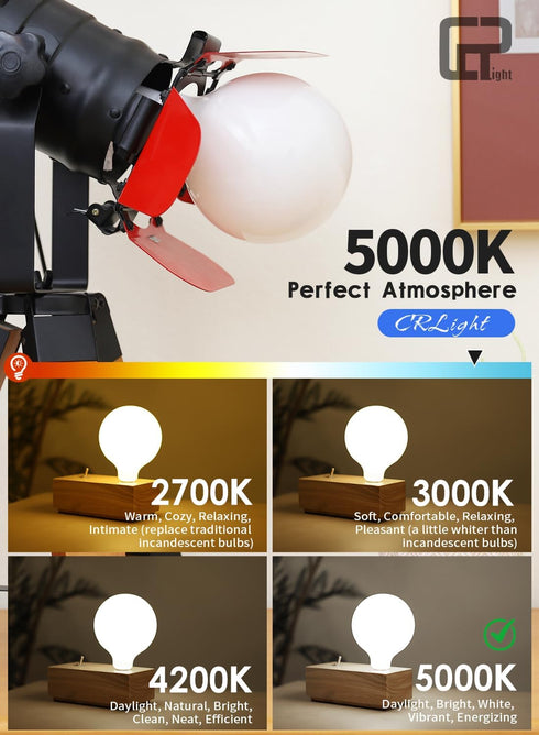 5-inch 12W 5000K Dimmable Bulb, G125 G40 80W 800LM, E26 5 Inch Dimming CRLight Opal Daylight Large Globe LED /