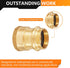 10-Pack Brass Press Fitting Adapter, 3/4" Press X 3/4" Female NPT Adapter