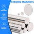 255PCS Small Strong Magnets, Neodymium Disc Magnets Heavy Duty, Rare Earth Magnets for Crafts, Whiteboard, Kitchen.