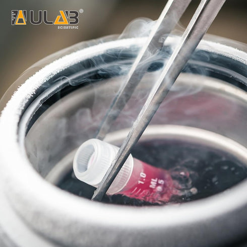 ULAB 50pcs 2ml Cryotubes Small PP Cryo Vials with Screw Caps, Electron Beam Sterilization, Free from DNase & RNase,