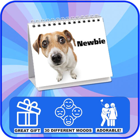 Funny Dog Desk Signs for Office | Ideal Gifts for Dog Lovers | Perfect Desk Decor & Accessories