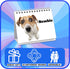 Funny Dog Desk Signs for Office | Ideal Gifts for Dog Lovers | Perfect Desk Decor & Accessories