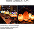 C7 E12 LED Bulbs, Salt Lamp Light Bulb Replacement for 15W Himalayan Salt Lamps, 6000K, 2 Pack