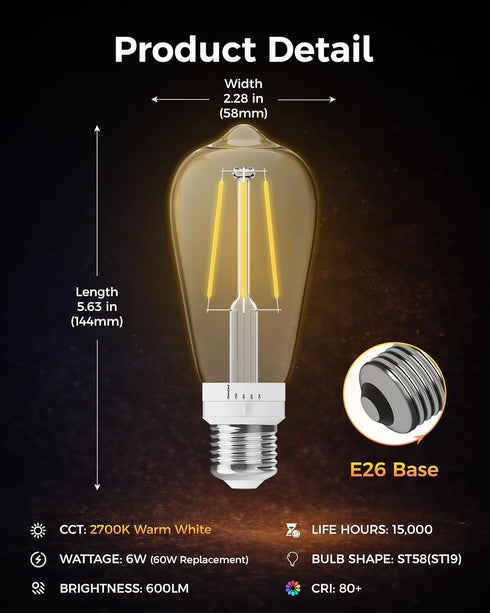 ST19 Bulb 2 Pack: Bulbs 3H/6H/9H/12H 2700K 600lm, E26 Timer Light Vintage Edison LED with Built-in Timer, Auto Modes