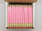 Express Pencils Half Pencils with Eraser, Golf, Pastel Pink, Box of 48, Non-Toxic, Mini