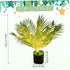 Xoeryoy 18" Palm Paradise Lamp, LED Light Realistic Artificial Palm Tree Lamp, USB Powered Led Tree for Home Bedroom