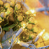 YULETIME 100 Count Clear Warm White Christmas Lights, 33 Feet UL Certified LED Mini String Lights