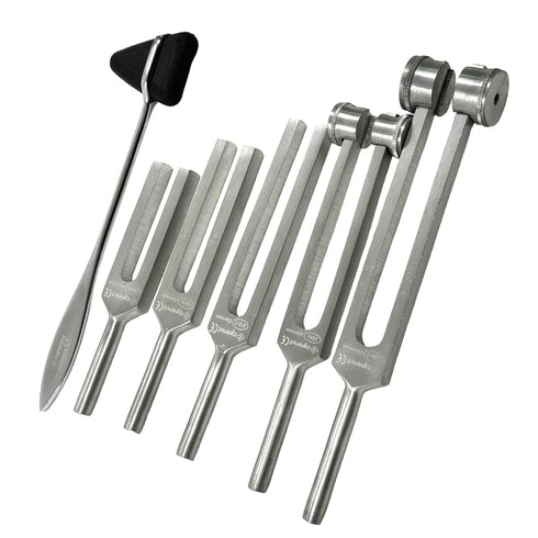 Set 5 Hammer Tuning Fork of Taylor Diagnostic Instruments CYNAMED
