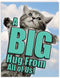 NobleWorks Jumbo Get Well Card - 8.5 x 11 Inch Cat A Big Hug from All of Us, Hospital, Sick J6614AGWG-US