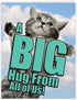 NobleWorks Jumbo Get Well Card - 8.5 x 11 Inch Cat A Big Hug from All of Us, Hospital, Sick J6614AGWG-US
