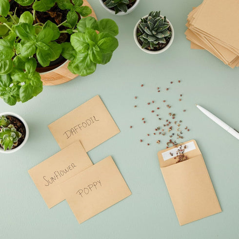 Juvale 100 Pack Small Seed Saving Envelopes, 4.5x3.25 Self Adhesive Blank Packets for Coins, Stamps, Mini Parts (Brown)