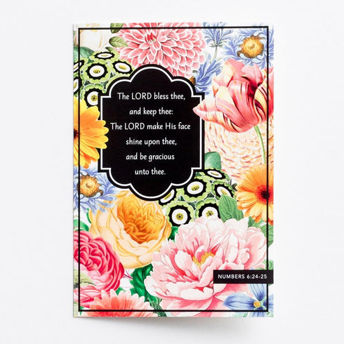 DaySpring Thinking of You Inspirational Boxed Cards - Wild Flowers - 60936, Multi
