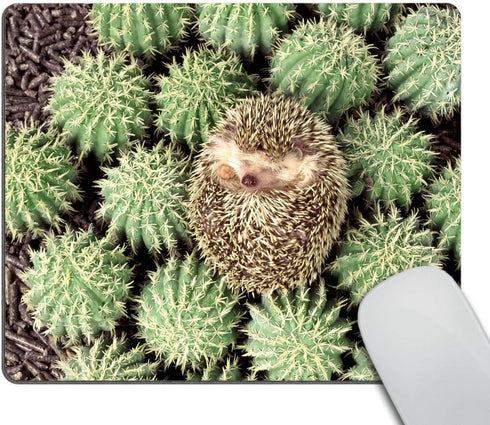 Smooffly Custom Gaming Mouse Pad - Animals Plants Hedgehogs Cactus Thorns Design