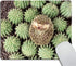 Smooffly Custom Gaming Mouse Pad - Animals Plants Hedgehogs Cactus Thorns Design