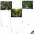 The Best Card Company - 20 Blank Landscape Nature Note Cards (4 x 5.12 Inch) - Nature Trails (10 Designs, 2 Each)