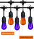 Bulb Bulb, 24 Pack S14 Bulbs, 2 Bulbs E26 120V Purple Light and Orange Light LED Shatterproof Watt Replacement