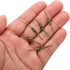 33mm/1.3" 350Pcs PATIKIL Chandelier Bowtie Clips, Copper Chandelier Connectors Clips for Fastening Crystals Parts