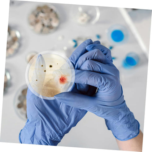 10pcs Glass Culture Dishes for Laboratory Experiments High Transparency Petri Dishes for Microscopic Observations