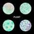 100Pcs Prepared Microscope Slides Set, Professional Specimens for Kids and Student Homeschool Use