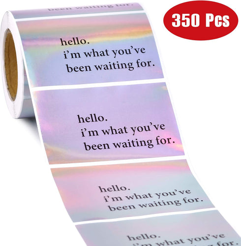 WRAPAHOLIC Hello I'm What You've Been Waiting for Stickers, Black Ink Holographic Silver Labels