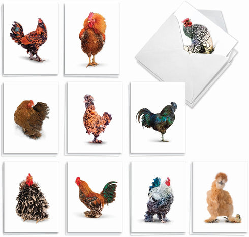 The Best Card Company - 20 Blank Birds Notes with Envelopes - All Occasion Chicken Assortment (10 Designs)