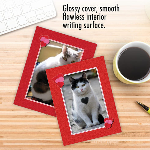 The Best Card Company - 10 All Occasion Blank Cat Cards (4 x 5.12 Inch) - Cute Assorted Bulk Set, Heartfelt Cats