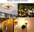 Greeogin G16.5 Bulbs Dimmable, 6W E26 Bulbs,Warm 2700K,600lm,6W 60 Watt,G50 Bulb Bulb 5-Pack LED Light Edison White