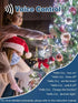 165 500 12 3 Dimmable Voice Controlled Christmas Lights with Remote, FT LED String Lights Indoor Outdoor with Modes