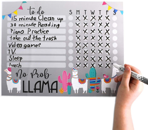 Kid’s Dry Erase Whiteboard Chore Chart with Removable Adhesive Decal, Fine-Tip Magnetic Marker Included, 9” x 12”