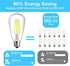 6 Pack Bulbs, E26 Dimmable Bulb, 60 ST58 Bulbs 5000K, 8W, 800LM, 80+ DAYBETTER Vintage LED Edison LED watt Equivalent